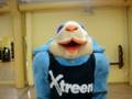 videos de Presentacion Mascota Xtreem Sport