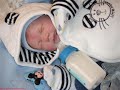 A arte do Reborn - Lindos beb�s da Mil!