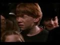 Ron & Hermione (Stupid Boy)