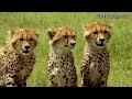 Beleggen in Afrika - segment Beleggen