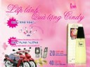 Scandy advertisng