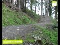 Bikepark Leogang Bikepark Leogang
