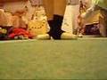 Pointe Video