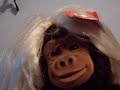 monkeys dirrrty monkeys dirrrty