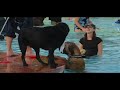 Pooch Plunge 2006 (extended version)