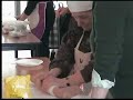 Kurs gotowania - czesc I - Tagliatelle cioci Caroliny Kurs gotowania - czesc I - Tagliatelle cioci Caroliny