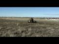 Honda-FL250-Odyssey-