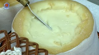 Encontro de Concertinas animou 1º dia da Feira do Queijo de Celorico da Beira