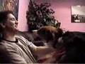 Dogs Love Gum - Funny Pets and Cute Animals