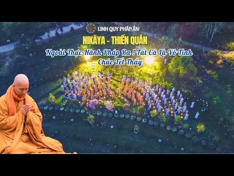 NIKAYA Thiền Quán - Tết Thầy Với Lòng Biết Ơn