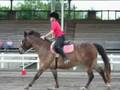 Mounted Games