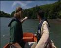 Dolphins Found Dead In English River 09/06/08