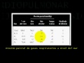 FISIOLOGIA CARDIOPULMONAR Y EJERCICIO 7