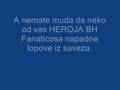 BH Fanaticos - Navijaci bez muda