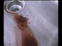 The Crow: Purgatory 2 (Segment 2)