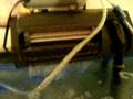 55 Gallon Piranha Tank Update!!!