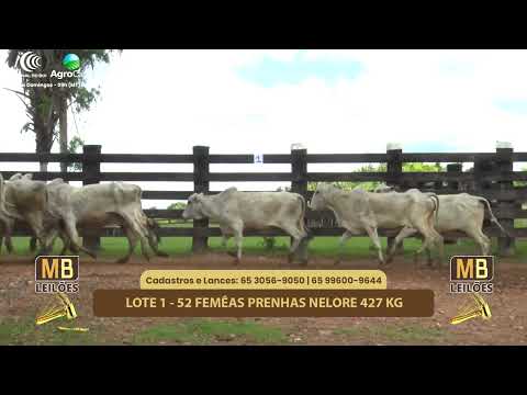 527� LEIL�O VIRTUAL MB LEIL�ES