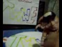 twwe twwe