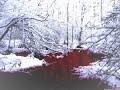 Eisregen - Blutbahnen [ a ]