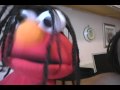Search Video