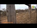 KWS Drives 200 Elephants To The Park
