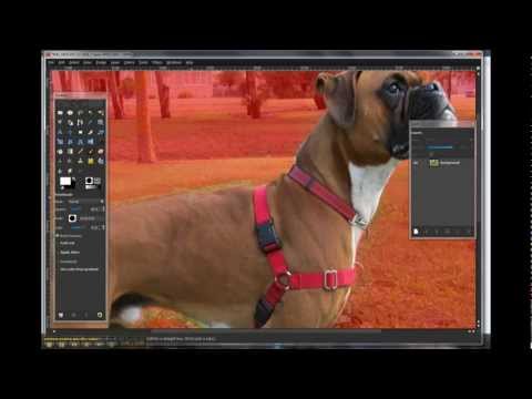 how to isolate objects in gimp