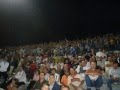 Tirona Fanatics & Ultras