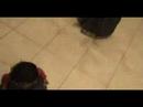 Who Let The Dogs Out - Rhea & Gia Mitra