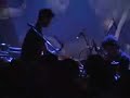 Critters Buggin pt.#2 Critters Buggin pt.#2