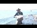 NEW-Jurassic Lake-The Best of the Best