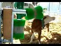 SCHURR cow-brush 2-brushsystem MADE IN GERMANY