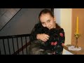 Bouvier des Flandres/Linux-last day/ Bouvier des Flandres/Linux-last day/