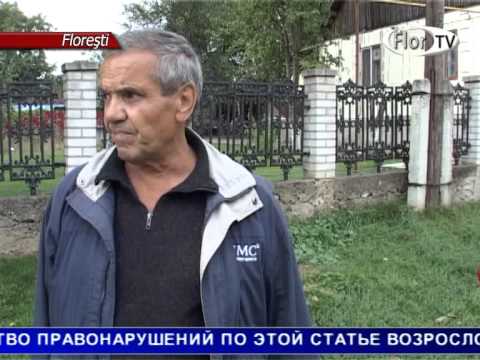 Листья осени зажгли костры
