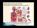 Do I need to take Nutritional supplements