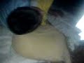 Mellin Agen