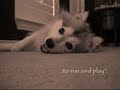 video. It took many takes to perfect the dystrophy correctly. Our actors tend to be prima donnas...especially our mascot, Monster. Music is a little guitar snippet of Erik Satie's Gymnopedies no. 1. Enjoy! =) For more info please visit our site: www.LittleMonsters-co.com Thank you ... 