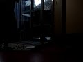 misery business cover by laila misery business cover by laila