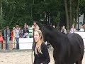 Paarden Begrijpen - Horse Event - Theorie (deel 1)