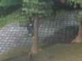 runescape song-pork n\ runescape song-pork n\