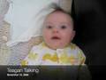 videos de Teagan Talking