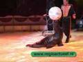 Regioactueel.nl - Circus Renz in Bergen op Zoom