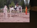 Sanni-poni