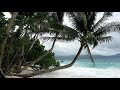 trailer001.flv