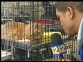 videos de NEWS REEL