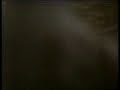 video avec des chats dans des situation tr�s drole