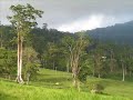 MERIDA CHIGUARA VENEZUELA MERIDA CHIGUARA VENEZUELA