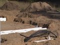 Solar home foundation part1 Solar home foundation part1