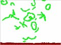 Polluted Planet - Soft Body Dynamics Polluted Planet - Soft Body Dynamics