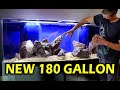 175 Gallon Bow Front Aquarium For Sale
