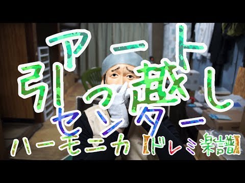 動画